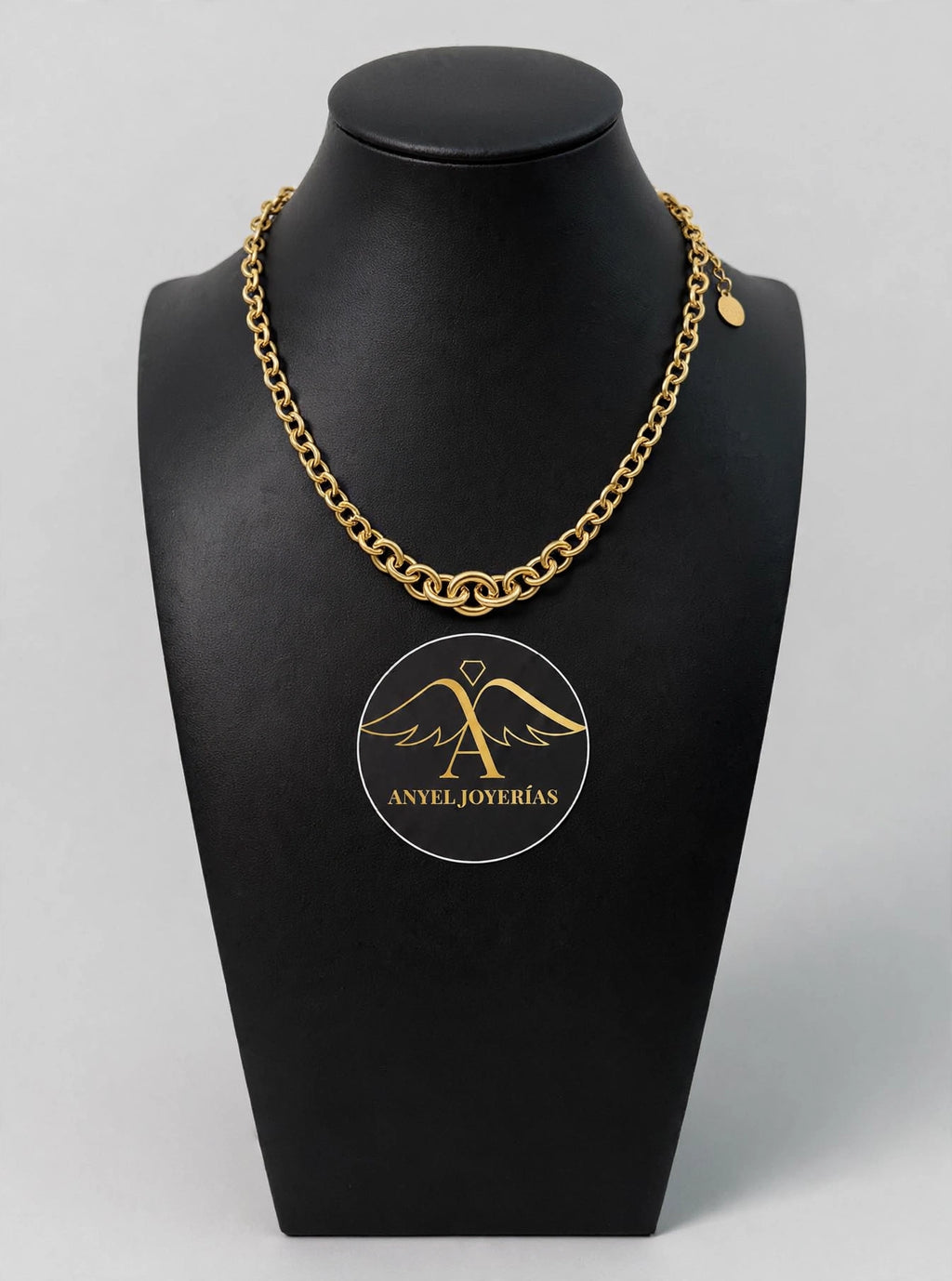 Anyel's 14K Polished Fancy Graduated Circle Link Necklace