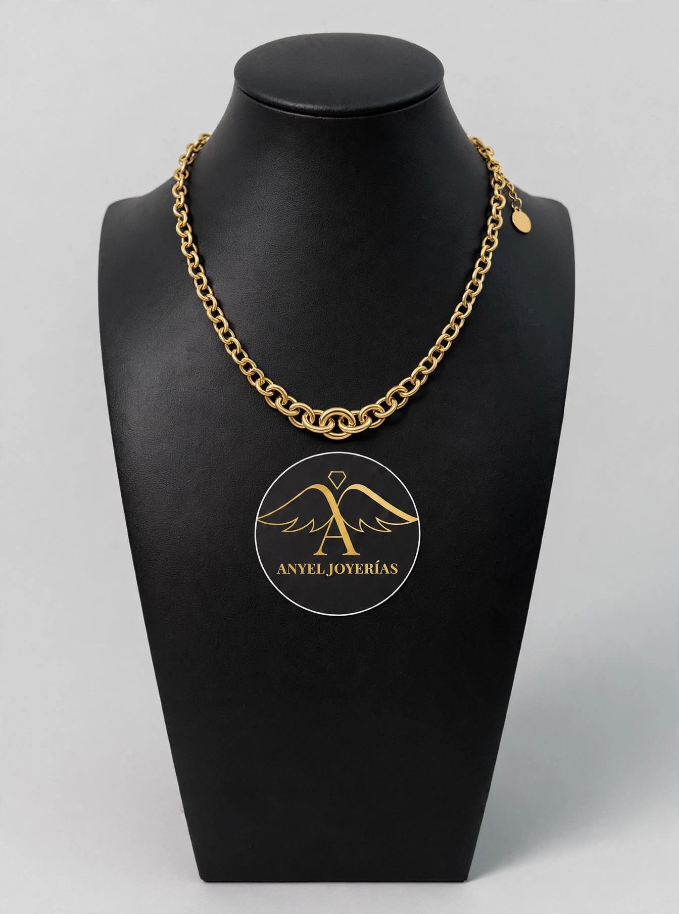 Anyel's 14K Polished Fancy Graduated Circle Link Necklace